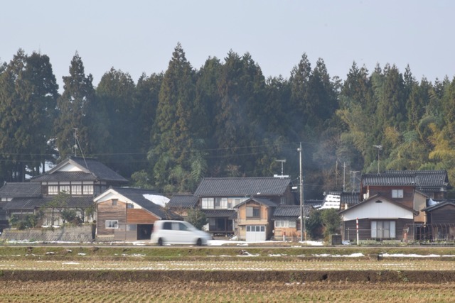 NIKON D53001303