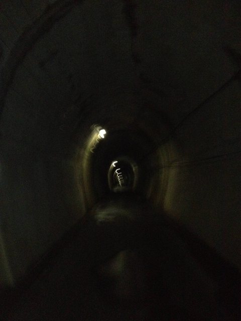 73b68370.jpg