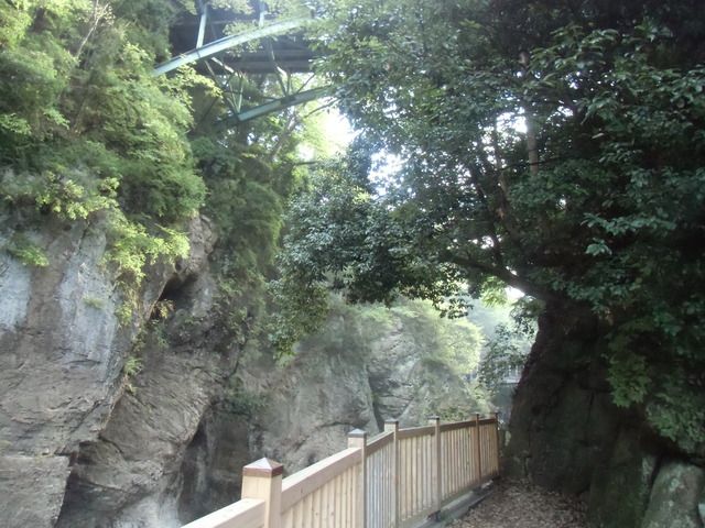 CIMG0381