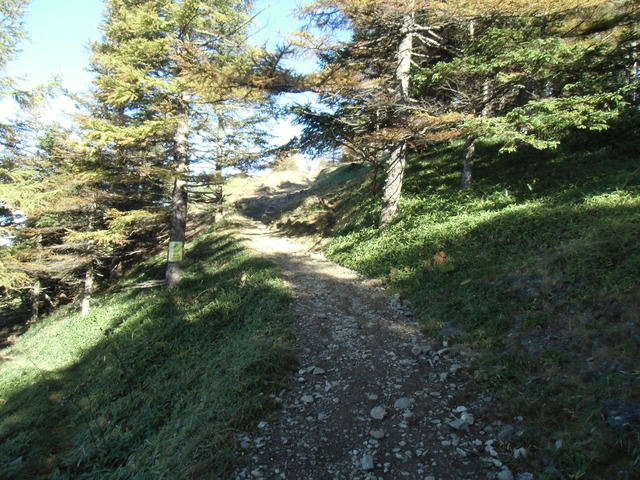 CIMG0622