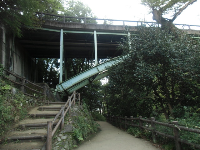 CIMG0372