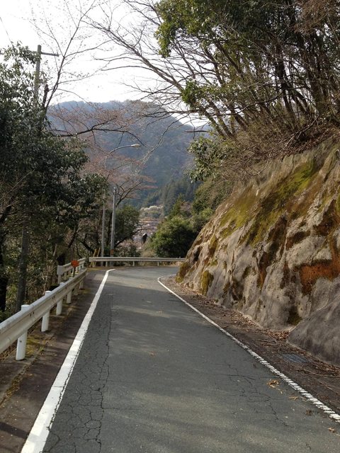 96474c91.jpg