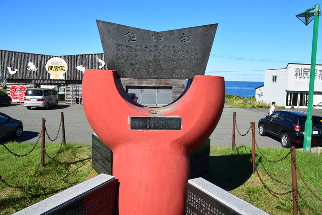 DSC_0217