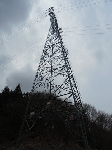 CIMG1251