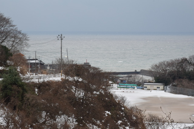 NIKON D53001018