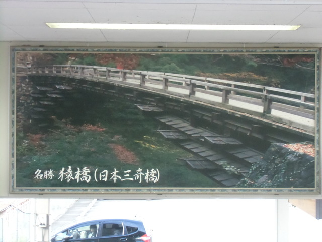 CIMG0387