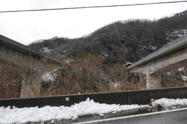 NIKON D53002567