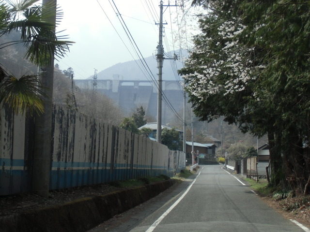 CIMG1198