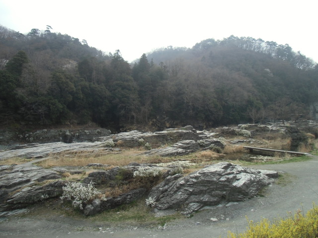 CIMG1157