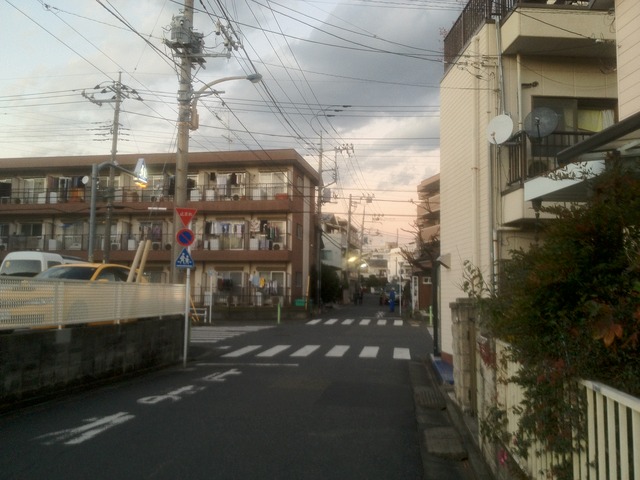 太鞁免