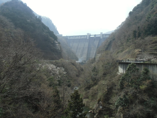 CIMG1204
