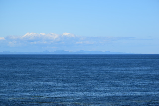 DSC_0211