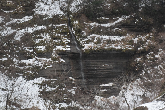 NIKON D53001015