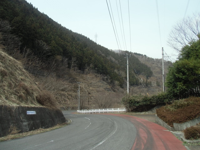 CIMG1308