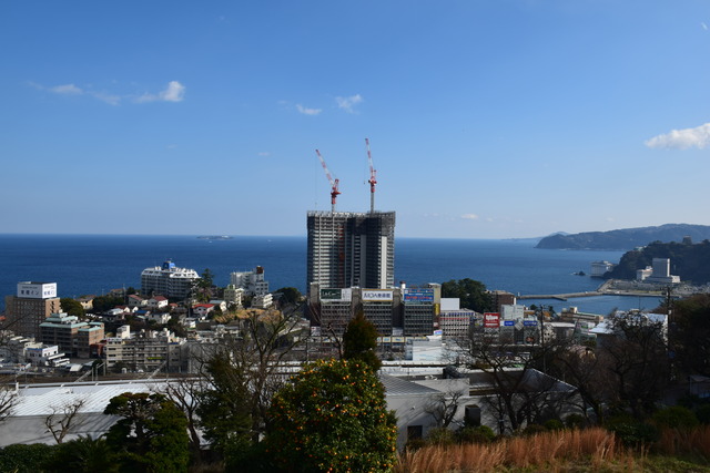DSC_0559