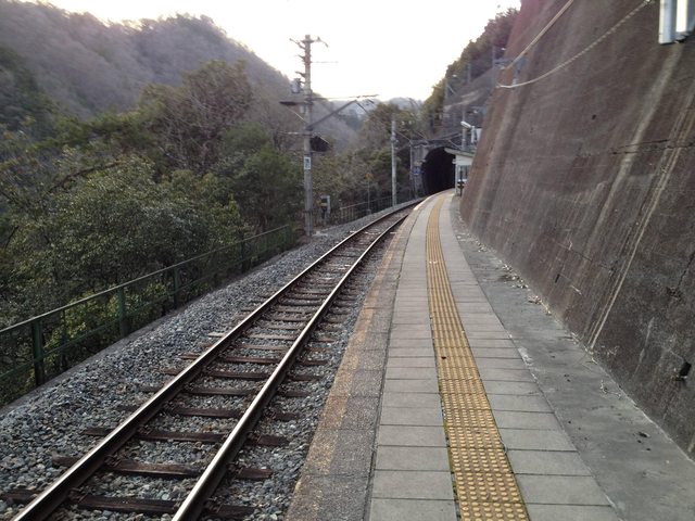 f0f19833.jpg