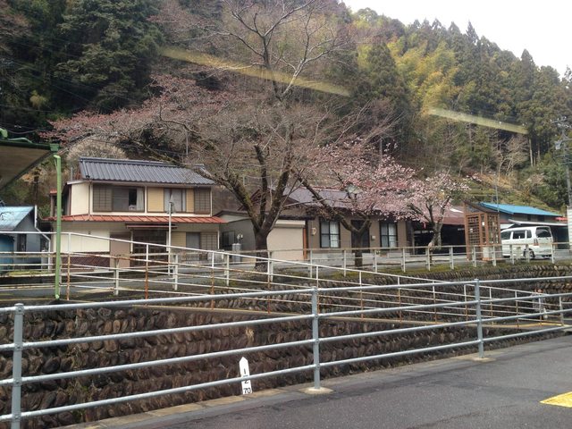 f6b04250.jpg
