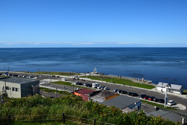 DSC_0209