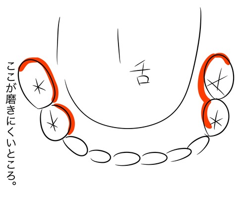奥歯の磨き方3