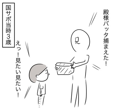 平気な虫3