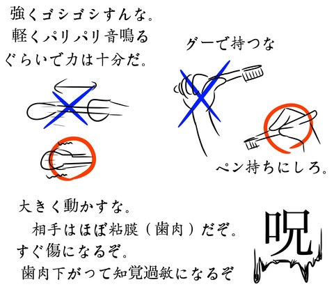 歯ブラシの買い替え5