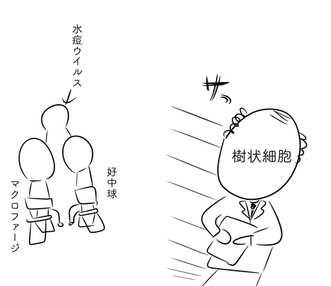 免疫商事4