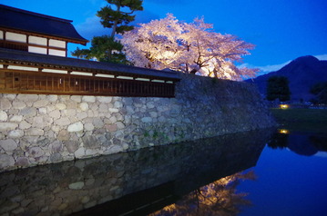 IMGP5788松代城の桜2017-4-19