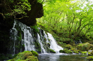 IMGP8983鳥海山元滝