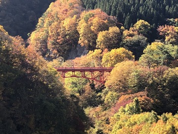 高山村もみじ橋