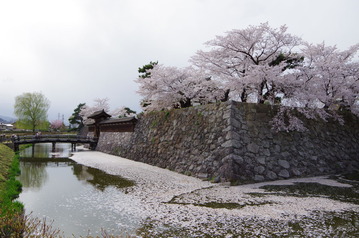 IMGP5784松代城の桜2017-4-19