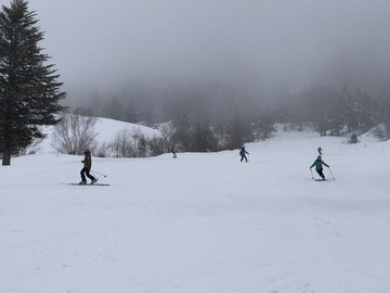 IMG_3724