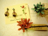 DSCN0308