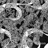 Kyon-sp-biyakuchou