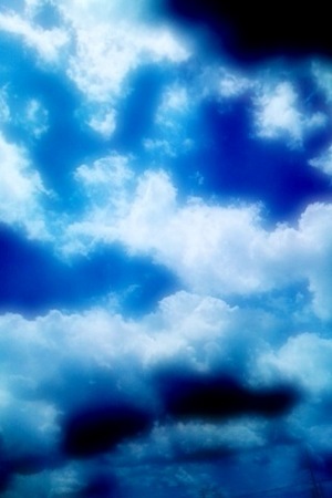 82d0e72a.jpg