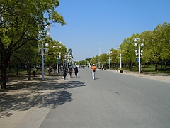 花博3