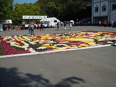 花博・フラワーカーペット