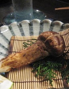 松茸