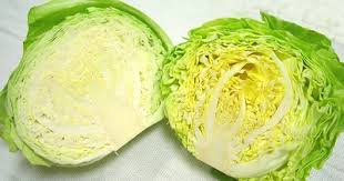 キャベツ