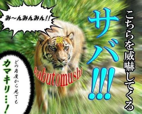 Dxk9GnJWkAEVVv1