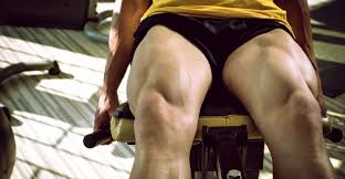 ダウンロード (6)