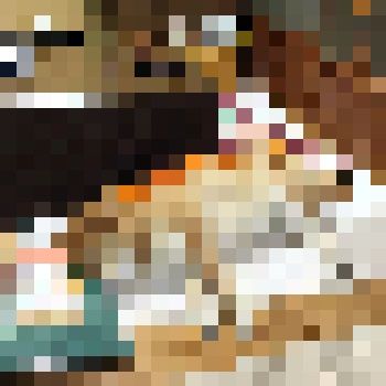 犬