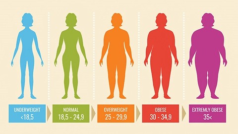 BMI-in-Adults-722x406