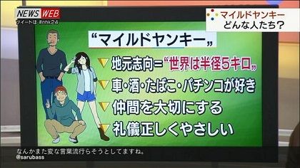 マイルドヤンキー1