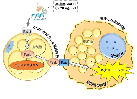 図