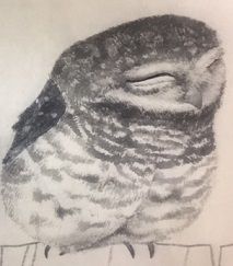 ふくろう