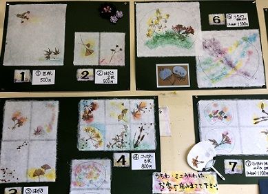 IMG_9842 (1)