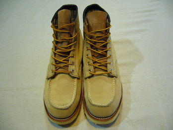redwing