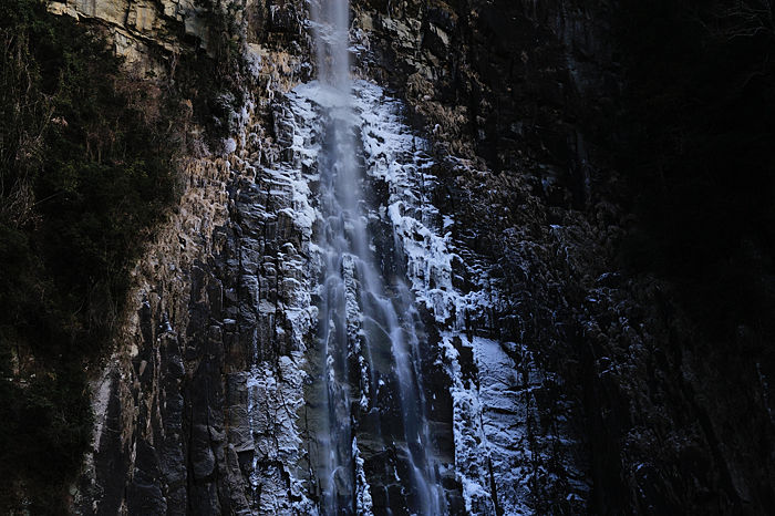 DSC_2681