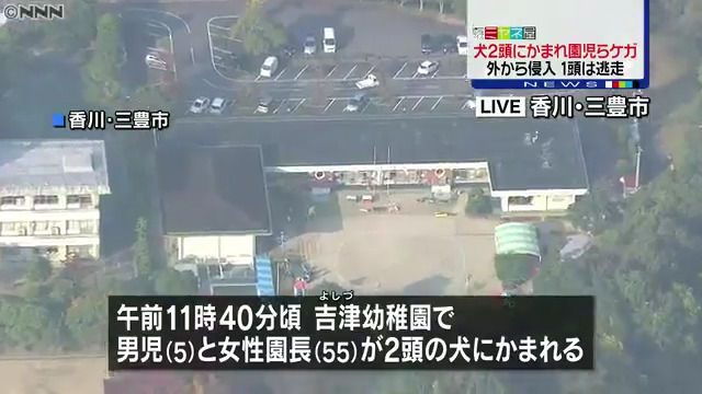 保育園サムネ