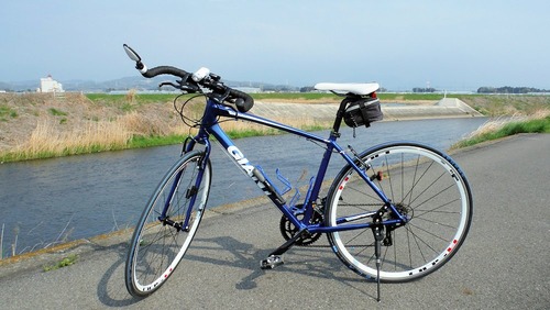 GIANT ESCAPE RX3 ブルホーン化 : 自転車deフィットネス&愛犬は